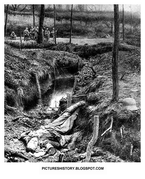 1st World War Trenches. The First World War: Trench Warfare