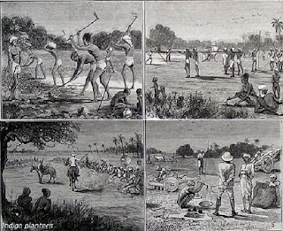 Agriculture of Mughal empiror