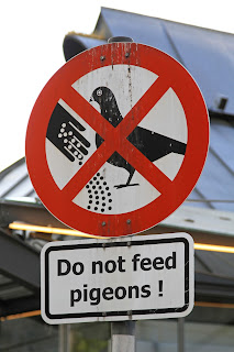 Forbidden to feed the pigeons sign.