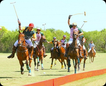 Polo in Manor, TX