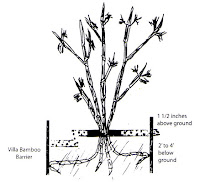 Barrier Bamboo5