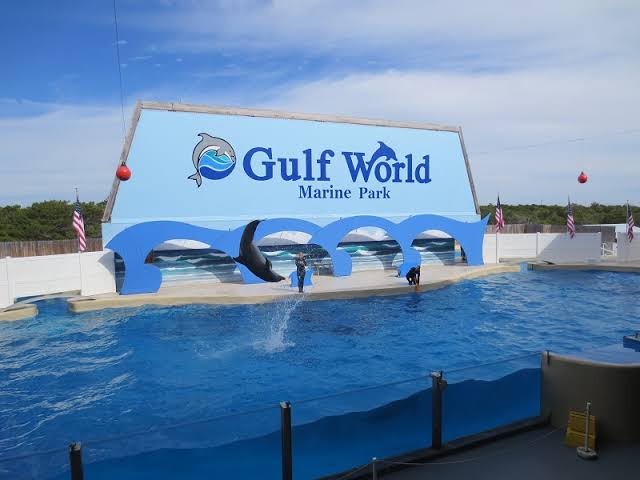 Gulf World