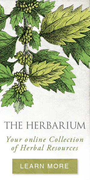 Extra 10% off - Sustainable Herbalism Intensive - Ends 31st July