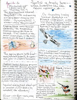 Bird Watching Diary