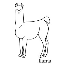 Llama Coloring Sheets With Name