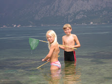 Veiðar við Kotor