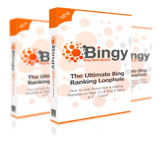 BingY Review