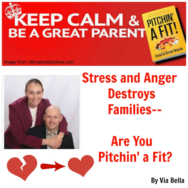 ptichin a fit, israel and brooke wayne, via bella, angry parenting, stressed out, parenting, self help, book review