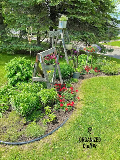 My Late June Flower Junk Garden Border With Planting Guide