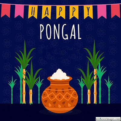 Pongal Pictures