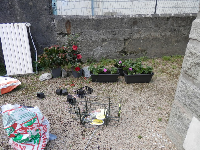 Gardening in Brittany, France