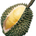 Cara memilih buah durian matang dan berkualitas baik