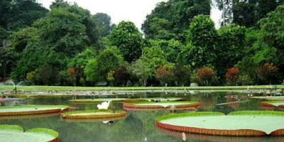  kota yang terkenal dengan tempat wisatanya yang begitu fenomenal 3 Tempat Wisata Di Bogor Paling Terkenal