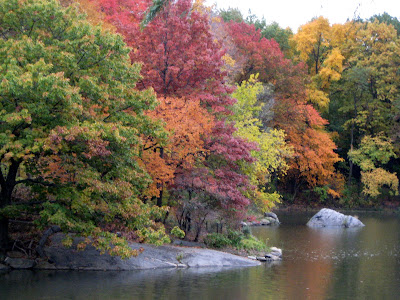 Fall Colors by the Lake Central Park