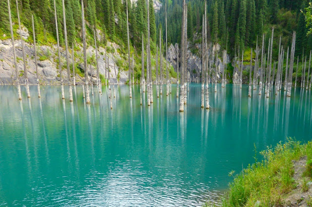 Hutan Sunken adalah kelompok pohon terendam di Danau Kaindy