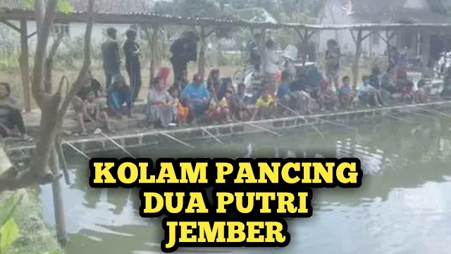 Kolam Pemancingan Kolam Pancing Terdekat Kolam Pancing Pemancingan Harian Terdekat Pemancingan Kiloan Terdekat Pemancingan Ikan Mas Terdekat Kolam Pancing Harian Terdekat Kolam Pemancingan Harian Terdekat Pemancingan Lele Harian Terdekat Pemancingan 24 Jam Terdekat Kolam Pancing Kiloan Terdekat Pemancingan Ikan Mas Harian Terdekat Kolam Pancing Alami Pemancingan Mujair Kiloan Terdekat Pemancingan Terdekat 24 Jam Pemancingan Harian Peraturan Kolam Pemancingan Ukuran Kedalaman Kolam Pemancingan Ikan Mas Kolam Pancing Terdekat Dari Sini Kolam Pancing Harian Ukuran Kolam Pemancingan Kolam Pancing Dan Lesehan Terdekat Kolam Pancing Lele Terdekat Peraturan Kolam Pancing Harian Pemancingan Galatama Terdekat Kolam Pancing Ikan Kolam Pemancingan Ikan Mas Terdekat Pemancingan Harian Lele Terdekat Mega Prima Kolam Pancing Omah Kolam Pemancingan Predator Dan Cafe Cara Memancing Ikan Di Kolam Pemancingan Cara Membuat Kolam Pemancingan Pemancingan Ikan Lele Terdekat Pemancingan Mujair Kiloan Contoh Kolam Pemancingan Pemancingan Harian Ikan Mas Terdekat Kolam Pemancingan Datuk Kolam Pancing Monstero Kolam Pemancingan Ikan Mas Kolam Pancing Barokah Cara Merawat Kolam Pemancingan Ikan Mas Kolam Pancing Galatama Ukuran Kolam Pemancingan Ikan Mas Pemancingan Terdekat Harian Kolam Pancing Kiloan Omah Kolam Pemancingan Predator Empang Pemancingan Empang Pemancingan Terdekat Ikan Kolam Pancing Kolam Pancing 24 Jam Ukuran Kolam Pemancingan Sederhana Kolam Pancing 88 Kolam Pancing Bandeng Kolam Pancing Lele Cara Memancing Ikan Tombro Di Kolam Pemancingan Cara Membuat Kolam Pemancingan Ikan Mas Kolam Pancing Gurame Terdekat Pemancingan Lele Harian Kolam Galatama Lele Terdekat Kolam Pancing Lele Harian Terdekat Kolam Pemancingan Sederhana Kolam Pancing Galatama Terdekat Pemancingan Monstero Kolam Pancing Galatama Lele Terdekat Kolam Pancing Juanda Jenis Ikan Kolam Pancing Cara Memancing Ikan Mas Di Kolam Pemancingan Membuat Kolam Pemancingan Kolam Pancing Gurame Kolam Pancing Maju Lancar Pemancingan Ikan Lele Harian Terdekat Pemancingan Ikan Patin Kolam Pancing 24 Jam Terdekat Kolam Pancing Agung Kolam Pancing Patin Kolam Galatama Ikan Mas Kolam Ikan Pemancingan Ukuran Kolam Pemancingan Yang Ideal Pemancingan Harian Ikan Mas Pemancingan Lele Kiloan Ukuran Ideal Kolam Pemancingan Kolam Pemancingan Borongan Cara Membuat Empang Pemancingan Kolam Pancing Bandeng Terdekat Cara Buat Kolam Pemancingan Pemancingan Harian Lele Kolam Pancing Mandala Kolam Pancing Ikan Lele Kolam Pancing Ikan Patin Kolam Pancing Husein Kolam Pancing Lingkar Timur Cara Buat Kolam Pancing Ikan Pemancingan Kolam Kebiasaan Ikan Mas Di Kolam Pemancingan Kolam Pancing Tombro Kolam Pemancingan Galatama Lele Membuat Kolam Pemancingan Ikan Mas Tambak Pemancingan Terdekat Kolam Pancing Kalang Anyar Cara Membuat Kolam Pancing Galatama