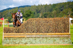 Jumping a brush fence Jumping a brush fence