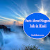 नियाग्रा फॉल्स के बारे में रोचक तथ्य -  Facts About Niagara Falls in Hindi