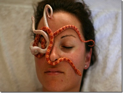 US005_SNAKE SPA