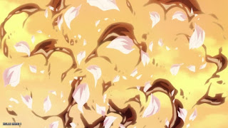 ワンピース アニメ 1080話 ONE PIECE Episode 1080