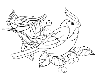 Birds Coloring Pages - Printable Birds Coloring Pictures