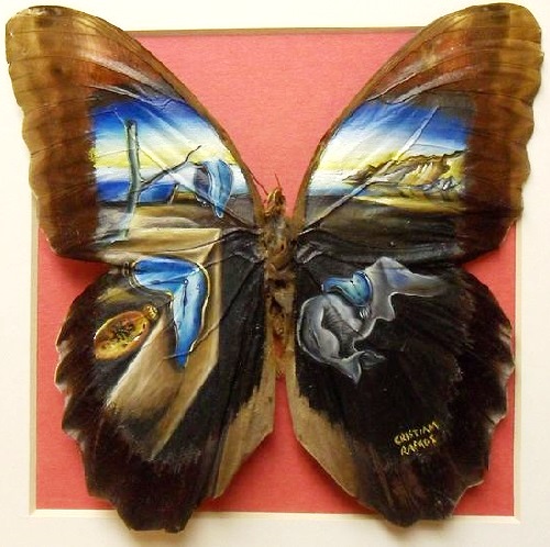 painrting on the real butterfly wings