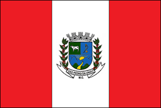 Bandeira de São Pedro da União MG