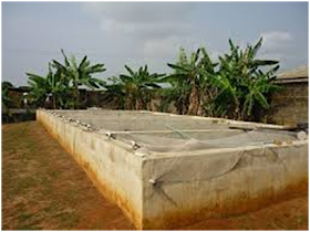 Fish Farm in Nigeria