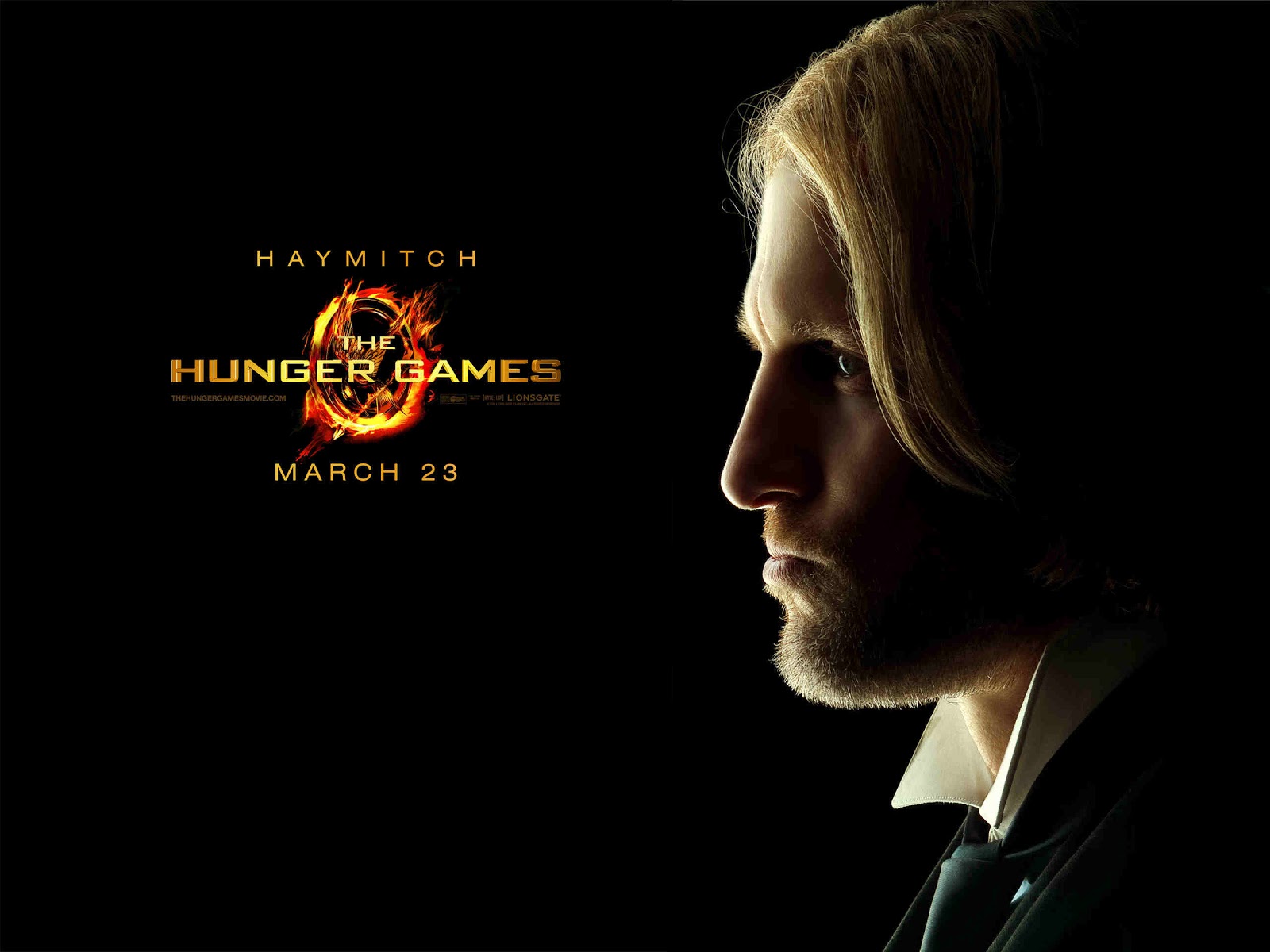 Wallpapers from Fandoms: Hunger Games Wallpaper - Character Posters ...