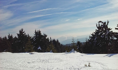 Północny Punkt Widzenia: W domu: test nart Fischer Speedmax Skate. Widok z kopalni Stanisław