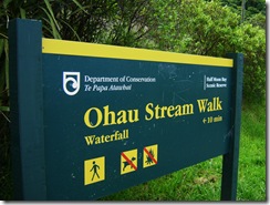 Ohau Walk