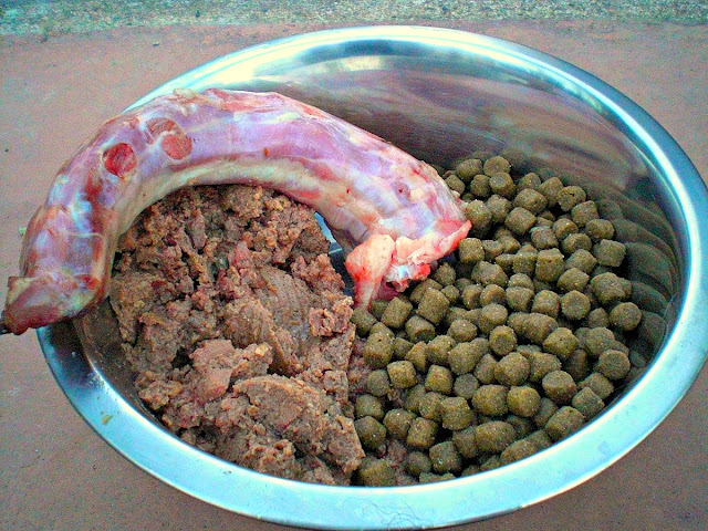 Raw Dog Food Bowl