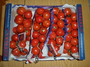 SAM_1868