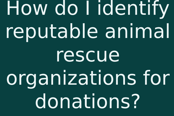 How do I identify reputable animal rescue organizations for donations?