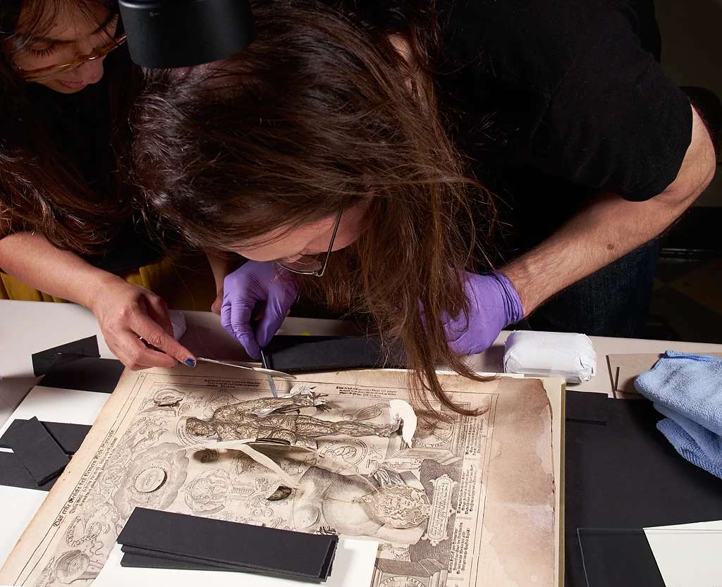 17th century medical pop-up book digitised