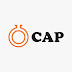 CAP To Pay Shareholders N98 Million Dividend