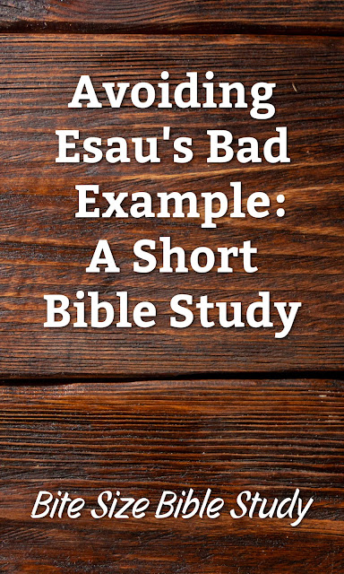 A short Bible study about Esau and the damage of instant gratification.