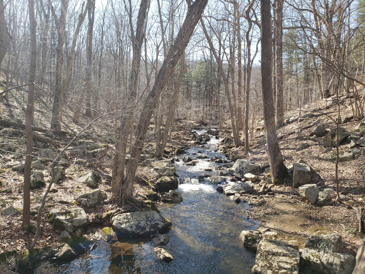 Brass Castle Creek Washington Township Warren County NJ