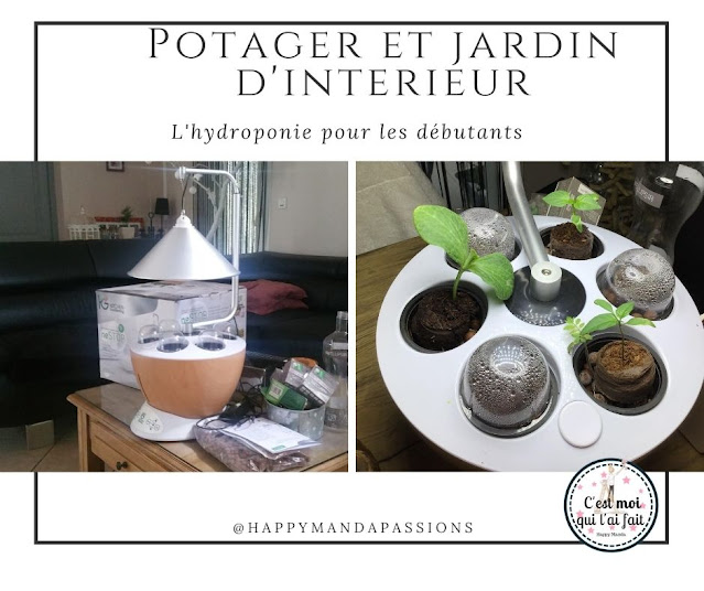 Mon jardin potager d'intérieur - L'hydroponie facile tests et conseils - Vilmorin