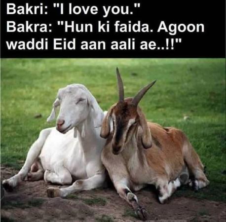 Bakra and bakri urdu jokes 2016