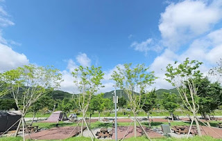 데크-사이트