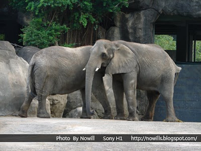 台北市立木柵動物園