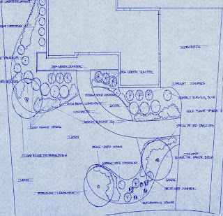 landscaping blueprint