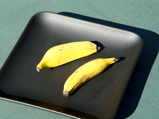 Yummy backyard bananas