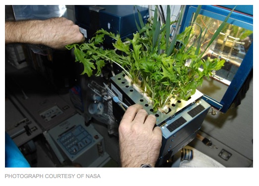 http://news.nationalgeographic.com/news/2014/01/140121-space-greenhouses-plants-astronaut-mars/