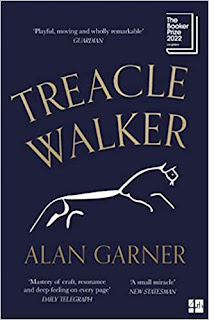 Treacle Walker by Alan Garner book cover