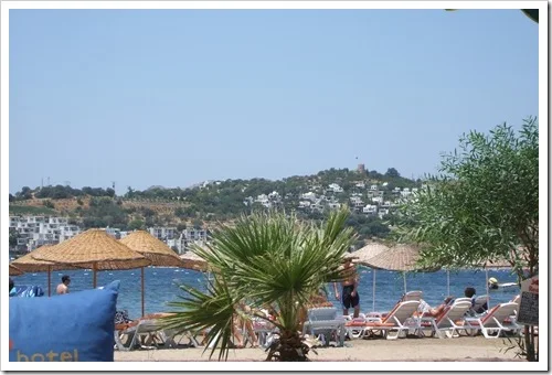 The View From the Shaded Relaxtion Area