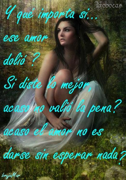 LoBocAs_queimorta