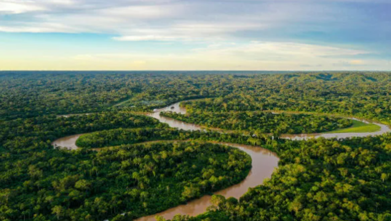 MTur celebra o Dia Internacional da Floresta