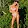 Tropic of C Swimwear Collection by Candice Swanepoel